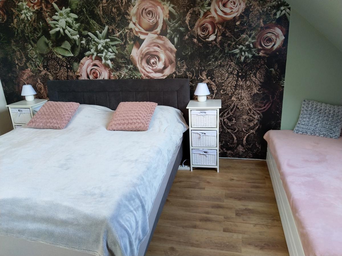 Apartmany Sharka -Sarka Justrova Decin Exterior photo